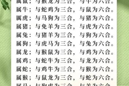 属鸡的男和属鼠的女婚姻,属鸡男性与属鼠女性的婚姻关系